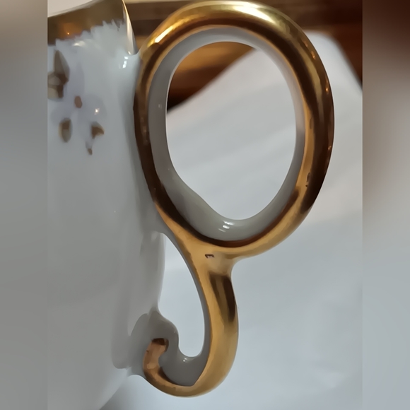 Limoges France BAWO & DOTTER Cup and Saucer - Picture 14 of 14